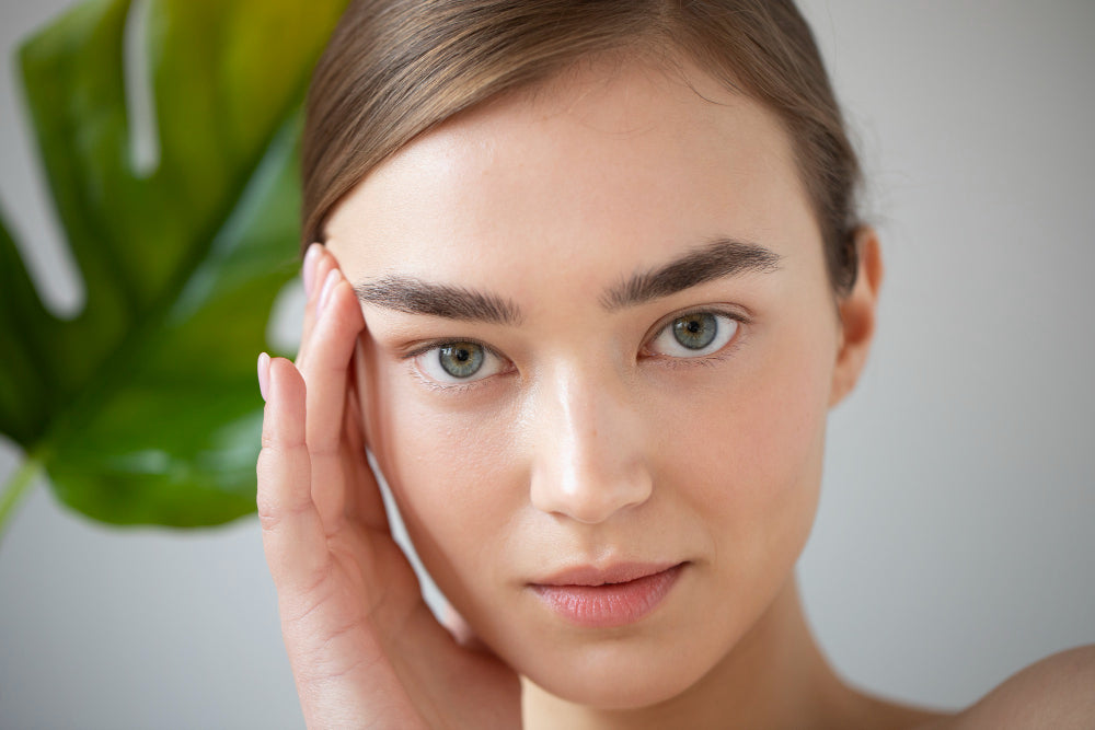 Aloe Vera: El mejor hidratante para tus cejas